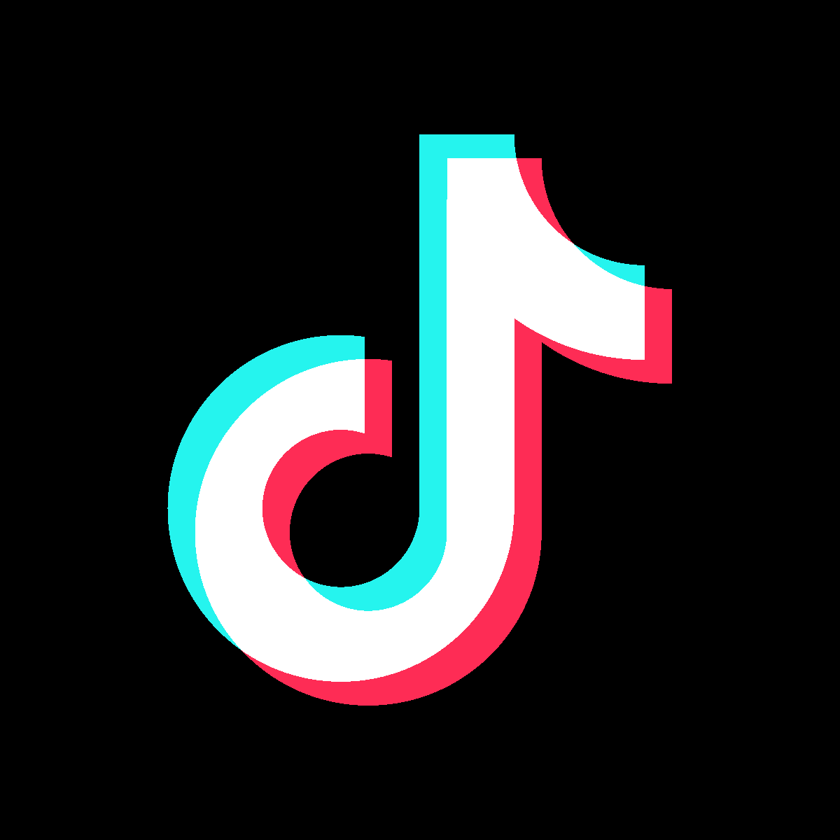 Tiktok icon